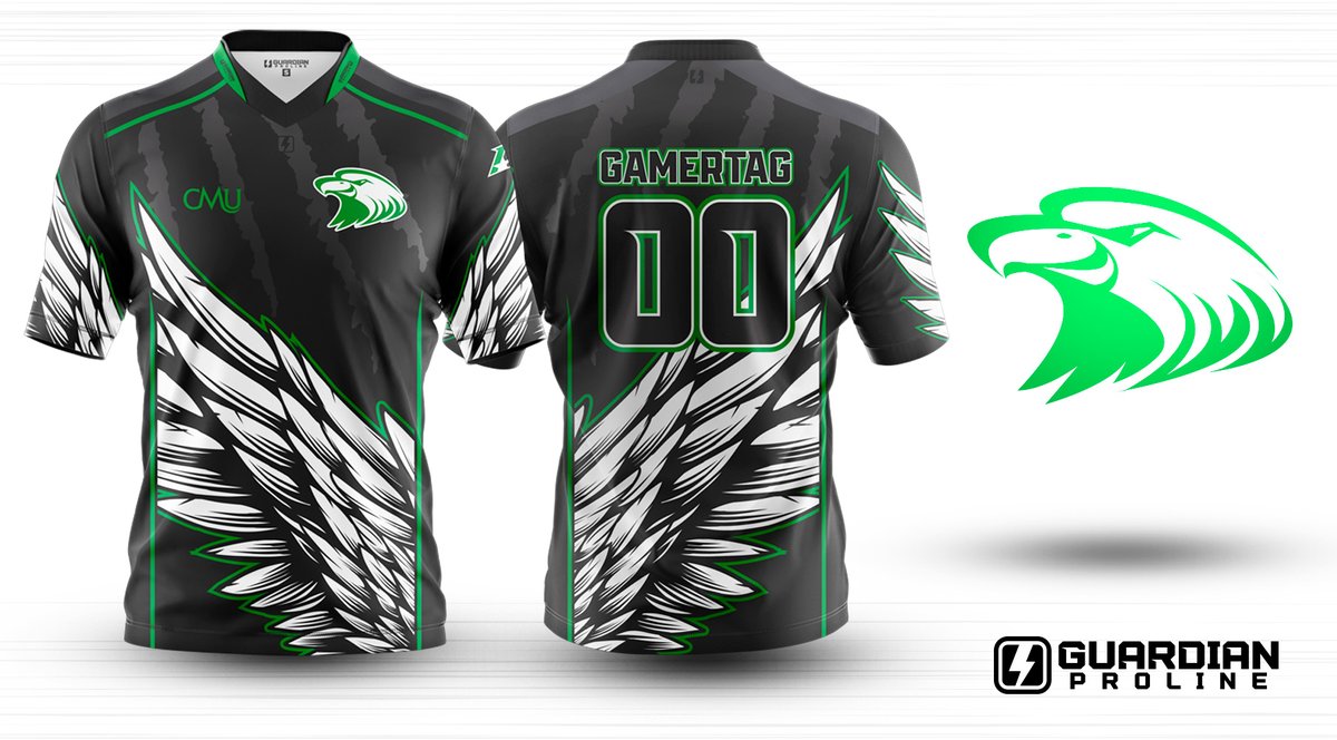 <a href="/cmueaglesESPORT/">Central Methodist Esports</a> taking flight! #missouri #esports