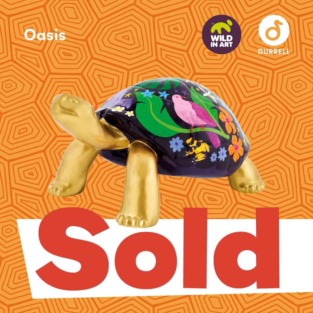 ⭐️ SOLD for £9,000! ⭐️  

🐢 ‘Oasis’ by Gabriella Street