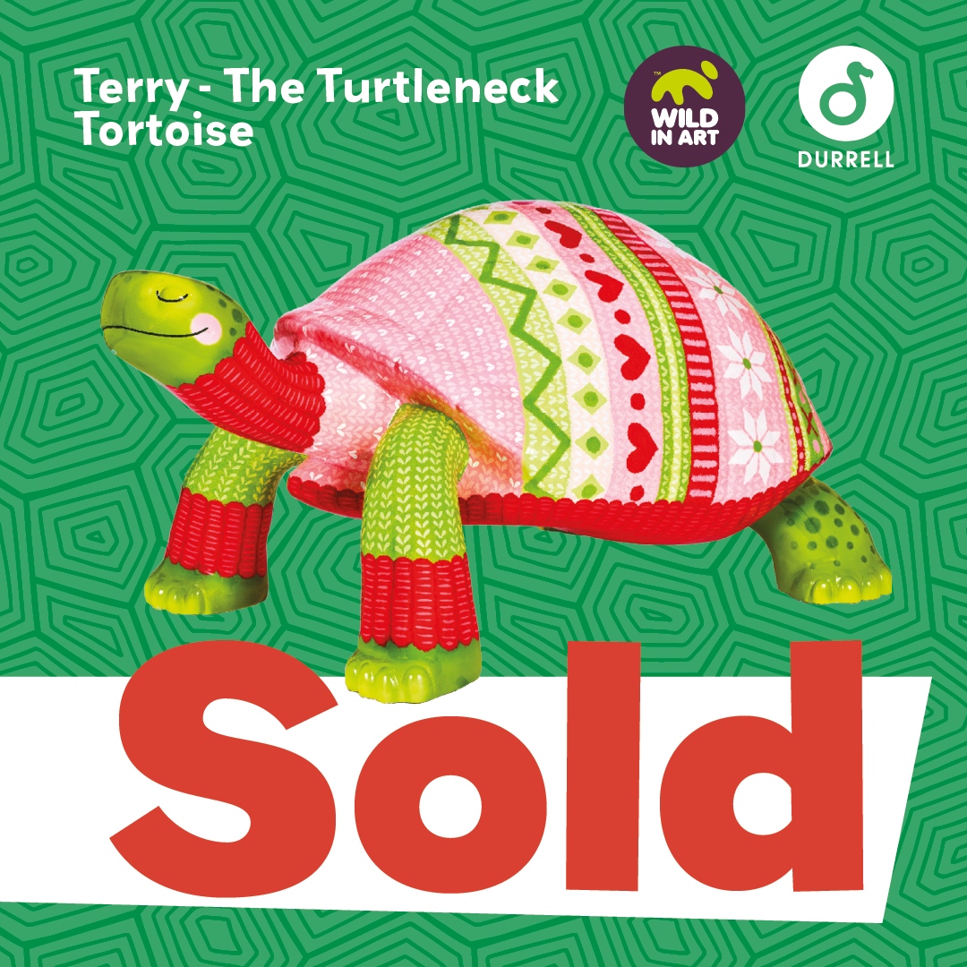 ⭐️ SOLD for £16,500! ⭐️  

🐢 ‘Terry - The Turtleneck Tortoise’ by Donna Newman 

👉 tortoise.durrell.org/the-tortoises/…