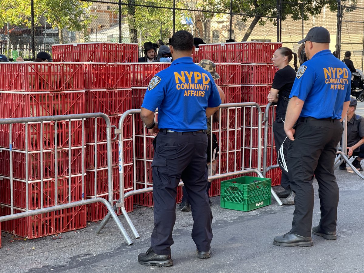 Animal Rights News tweet media