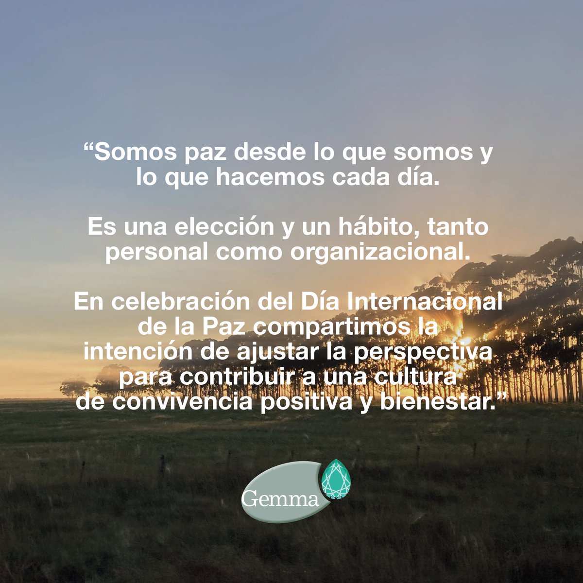 Gemma Sustentabilidad 🌱 tweet media
