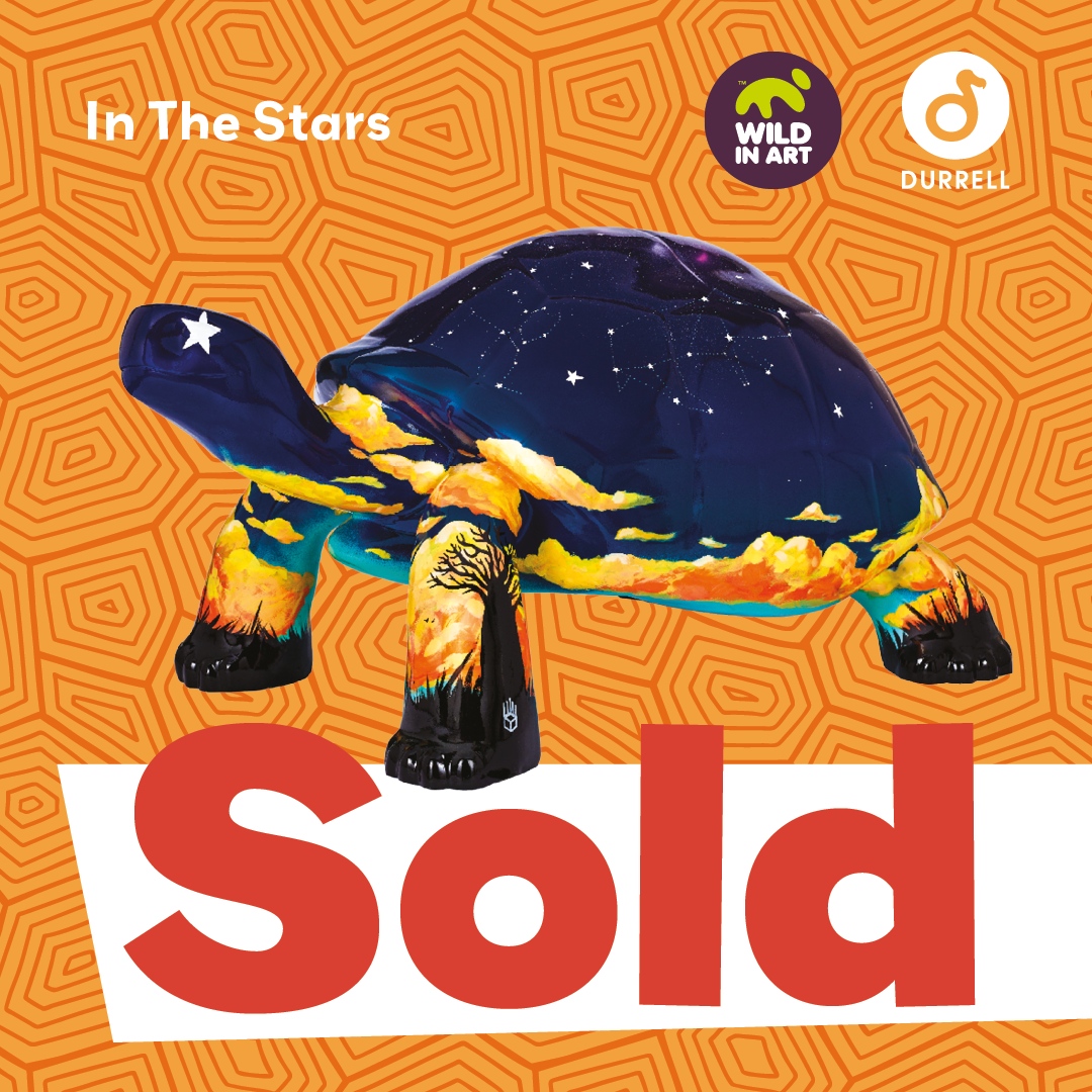 ⭐️ SOLD for £10,500! ⭐️  

🐢 ‘In The Stars’ by Pixelhands 

👉 tortoise.durrell.org/the-tortoises/…