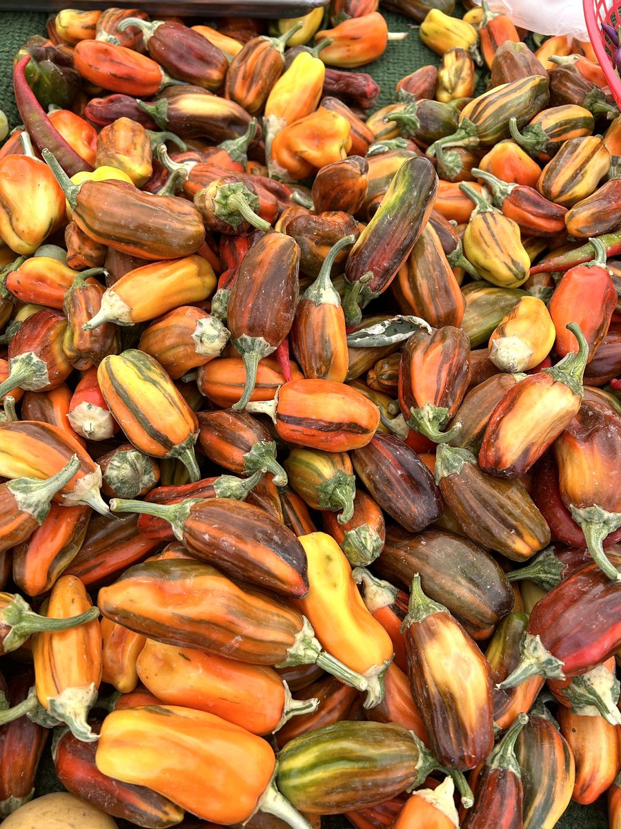 keeplefttravel's tweet photo. Farmers malarkey bounty ~
#seeyourcity https://t.co/xez95M66cJ