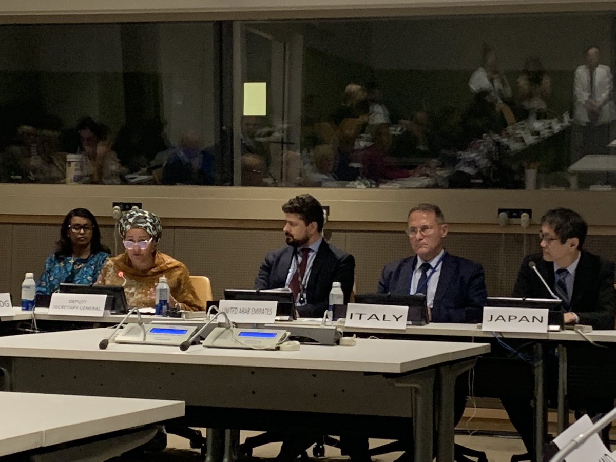 A crucial discussion on accelerating the #SDGs by transforming agri-food systems to ensure they are sustainable and support climate action, all while reaching the #furthestbehindfirst - thanks @ItalyUN_NY @JapanMissionUN @UAEMissionToUN 🌍 👩‍🌾 🍲
