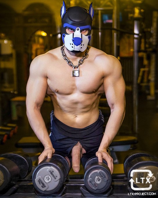 Anyone looking for a personal trainer? 😏 https://t.co/ZyUeH8YWRL