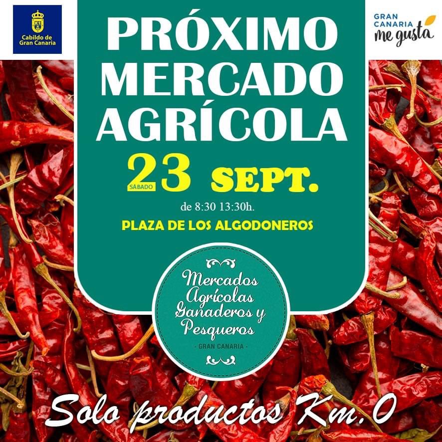 Este próximo sábado 23 de septiembre, nuevo mercado agrícola en la Plaza de Los Algodoneros en Vecindario de 8:30 a 13:30 h. con productos frescos de Gran Canaria.

#mercadodefindesemana  #km0 #grancanariamegusta