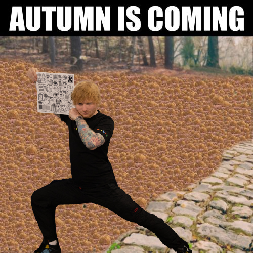 edsheeran's tweet photo. 🍂👉 https://t.co/Wz2RmReUxp

#AutumnVariations https://t.co/VbiYAhfcET