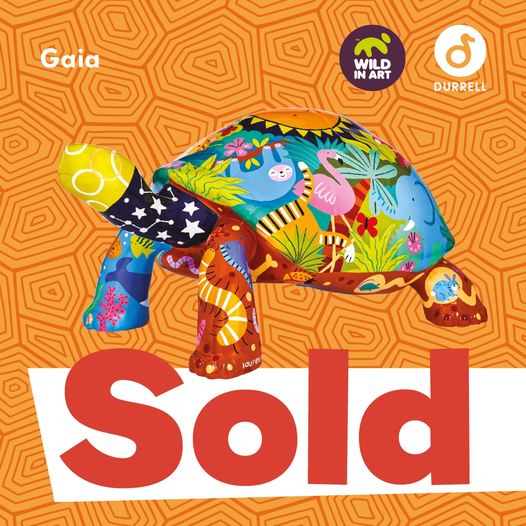 ⭐️ SOLD for £13,000! ⭐️  

🐢 ‘Gaia’ by Lauren Radley 

👉 tortoise.durrell.org/the-tortoises/…