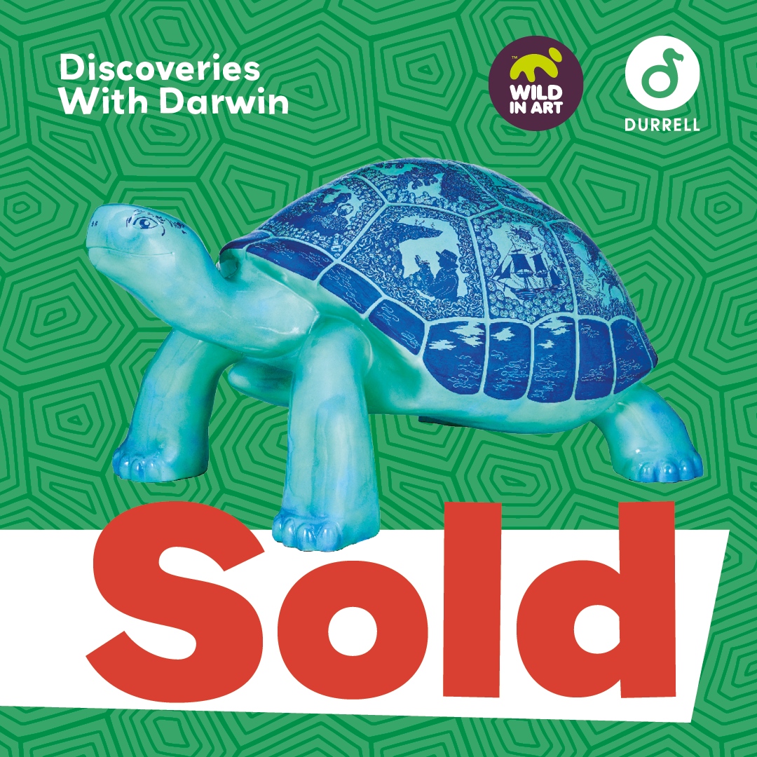⭐️ SOLD for £8,000! ⭐️  

🐢 ‘Discoveries With Darwin’ by Layla Arthur 

👉 tortoise.durrell.org/the-tortoises/…
