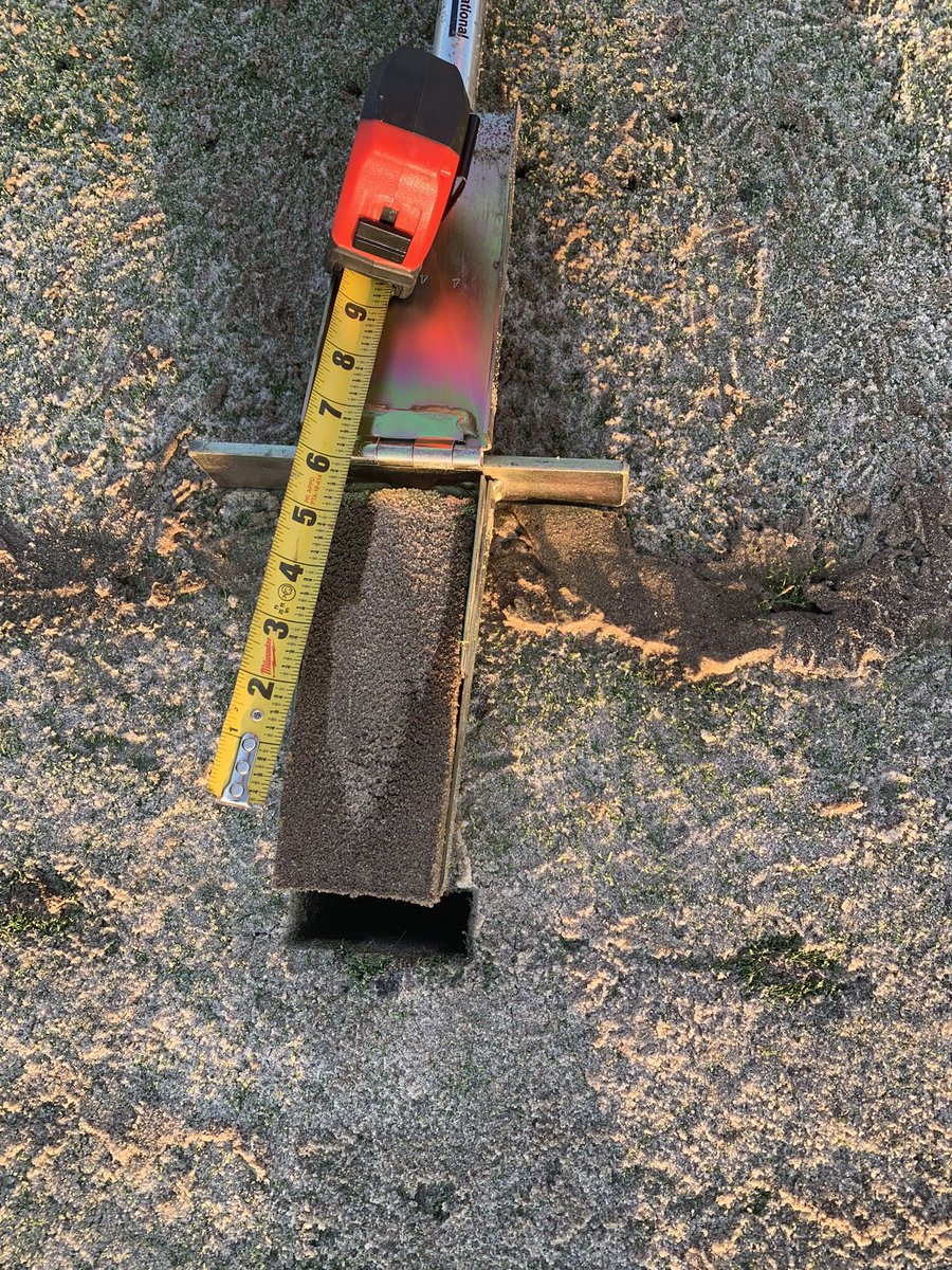 Mark Herrera tweet media