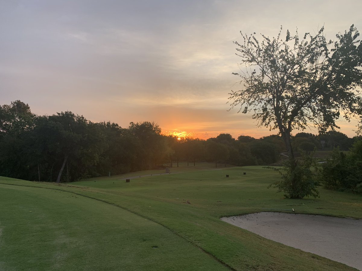 Mark Herrera tweet media