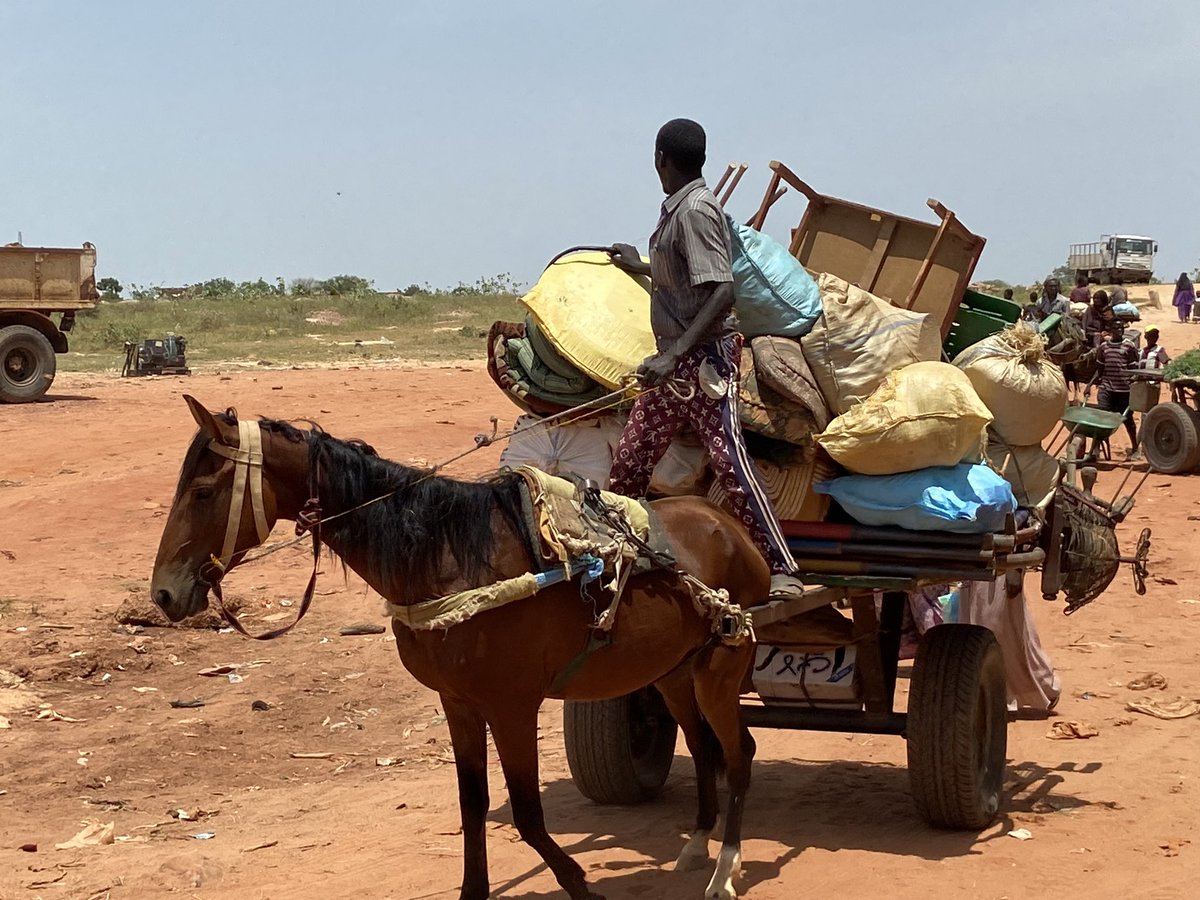 BrakaFiona's tweet photo. Escalating humanitarian crisis in eastern Chad. Over 400,000 refugees from Sudan in the past 5 months. Health care needs on the rise. #Adre #ChadSudanBorder https://t.co/aAc4Cl1yMe