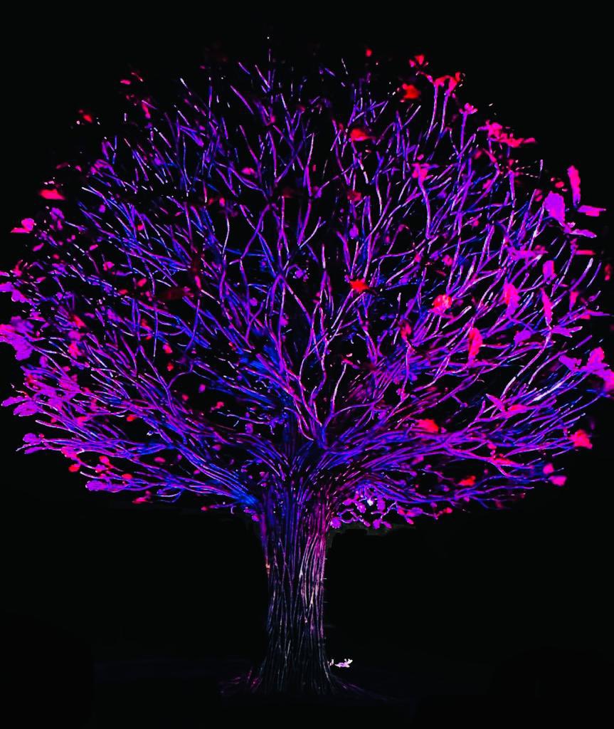 CathRoberts17's tweet photo. @LancsHospitals organ donation memorial tree lit up pink for organ donation week. 

Just stunning 💖 

@SarahC_RN @CritcareLTHTR @ChaplaincyLTHTR @LTHTR_OTDT @BDTeamLTHTr @rphtxsrs @pav_akhtar @northwestodst @ https://t.co/i2dXHFSTqj