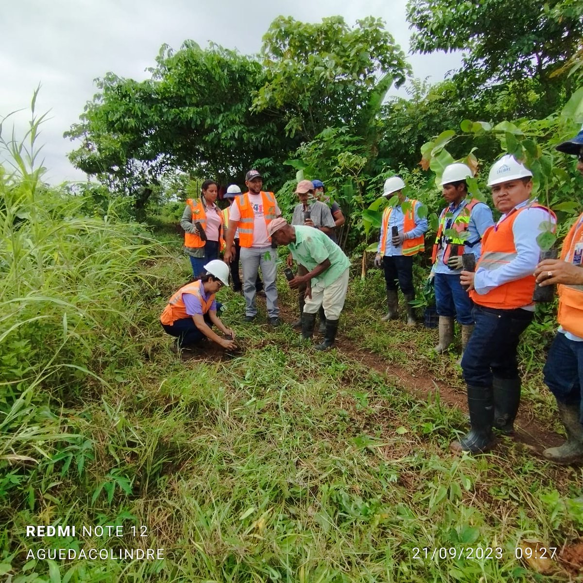 El Gobierno de Reconciliación y Unidad Nacional a través de la alcaldía del poder Ciudadano de #Rosita y la  empresa privada minera calibre S.A, DESMINIC, realizaron la jornada de Reforestación  "Verde te quiero verde", en la comunidad risco de oro. 
#PatriaBenditaYLibre