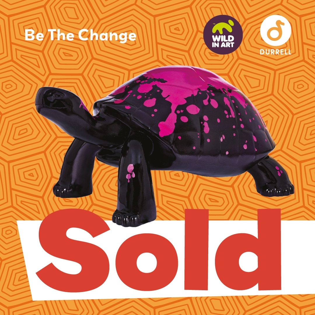 ⭐️ SOLD for £8,000! ⭐️  

🐢 ‘Be The Change’ by Lucy Griffiths 

👉 tortoise.durrell.org/the-tortoises/…