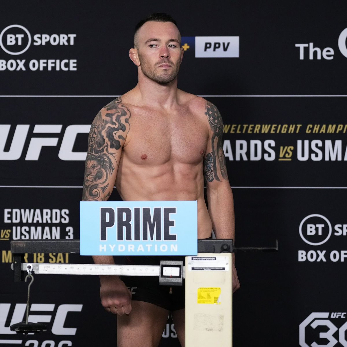 MMA Orbit tweet media