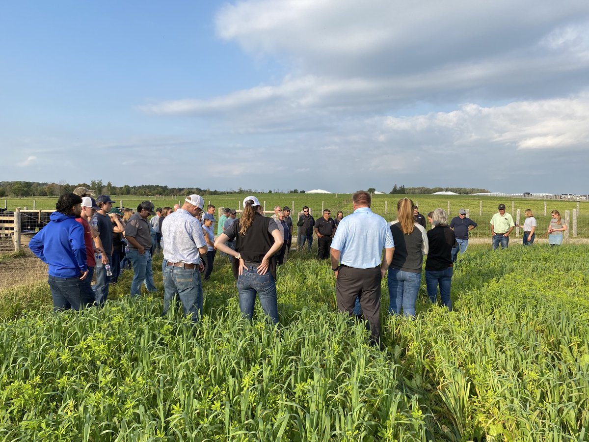 Lawrence Levesque (@lawrencelevesq3) on Twitter photo Grazing cover crops looking great at U of G Elora Research Station. Excellent information presented by Dr Kim Schneider and her team. <a href="/speareseeds/">Speare Seeds</a> <a href="/uofg/">University of Guelph</a> <a href="/KevinAitken3/">Kevin Aitken</a> <a href="/BrentCorriganSS/">Brent Corrigan</a> Grazing cover crops looking great at U of G Elora Research Station. Excellent information presented by Dr Kim Schneider and her team. <a href="/speareseeds/">Speare Seeds</a> <a href="/uofg/">University of Guelph</a> <a href="/KevinAitken3/">Kevin Aitken</a> <a href="/BrentCorriganSS/">Brent Corrigan</a>