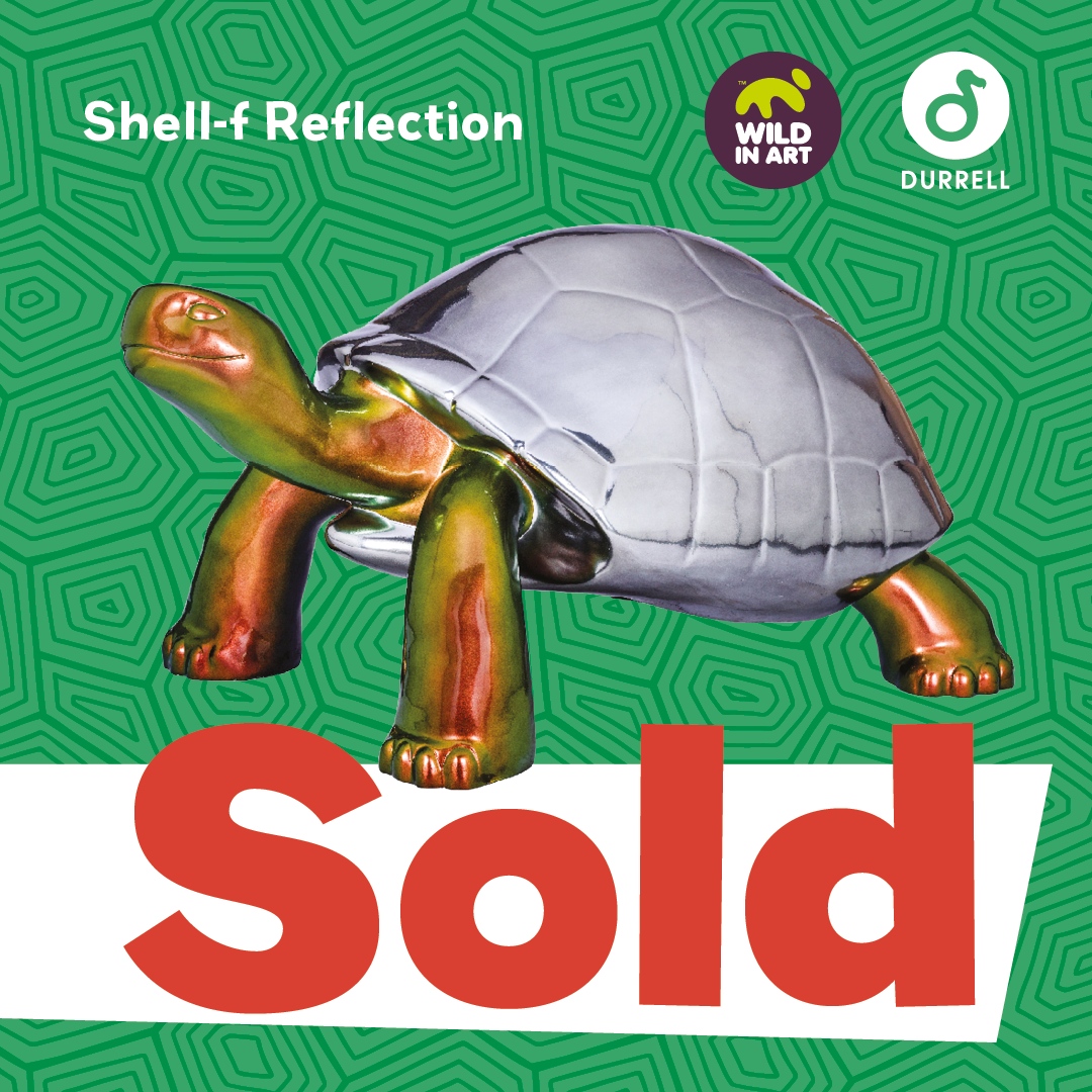 ⭐️ SOLD for £25,000! ⭐️  

🐢 ‘Shell-f Reflection’ by The Beach 

👉 tortoise.durrell.org/the-tortoises/…