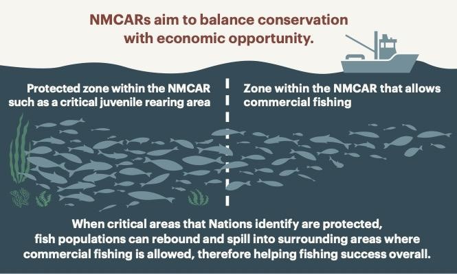 Our new brochure highlights some key features and benefits of NMCARs, including how these tools aim to balance conservation with economic opportunity! Click to learn more: ccira.ca/wp-content/upl…