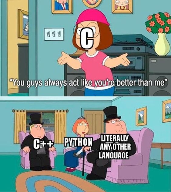 daboigbae's tweet photo. As a programmer - is it still worth learning c? https://t.co/xGAvdjNViS