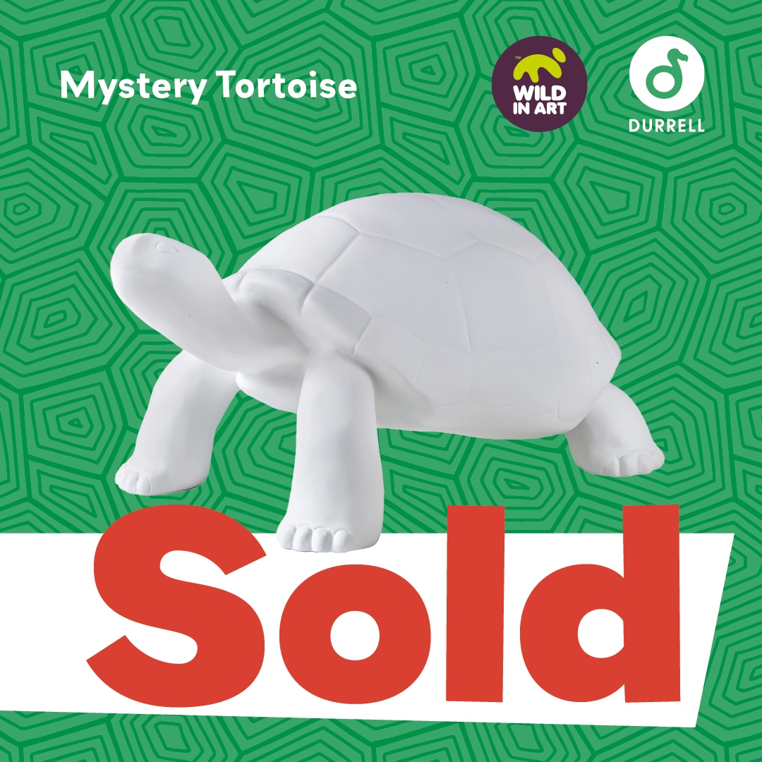 ⭐️ SOLD for £4,500! ⭐️  

🐢 ‘Blank’