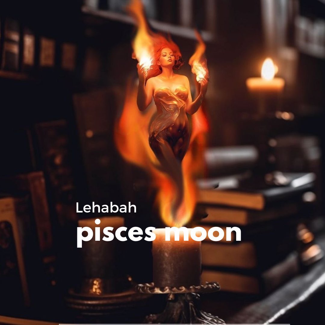 sashas_library's tweet image. my sjm big 3. taurus suns are winning rn