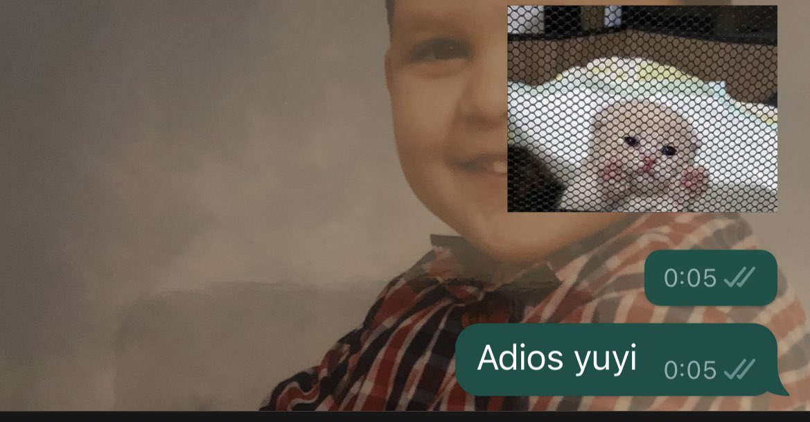 αℓу💜💜💪🏼 tweet media