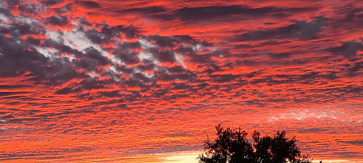 SWDesertLiving's tweet photo. Stunning sunset last night. #Tucson #monsoon #desertsunsets #sunsetphotography #sunsets #sunsetfire #Arizona #NatureBeauty #cloudpink #desert #Views #EXPLORE #fireinthesky https://t.co/YkXMBuxLA8