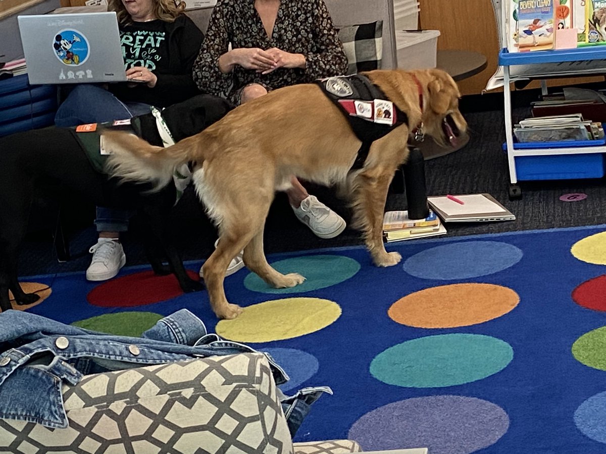 deleeuwc's tweet image. Great 1/2 day Vocabulary  PD @WalledLkSchools thank you @KathyIlacq97542 for your leadership. @GlengaryElem @PleasantLakeEl @OakleyPark1 @CatherineKocha1 @michelleblackk