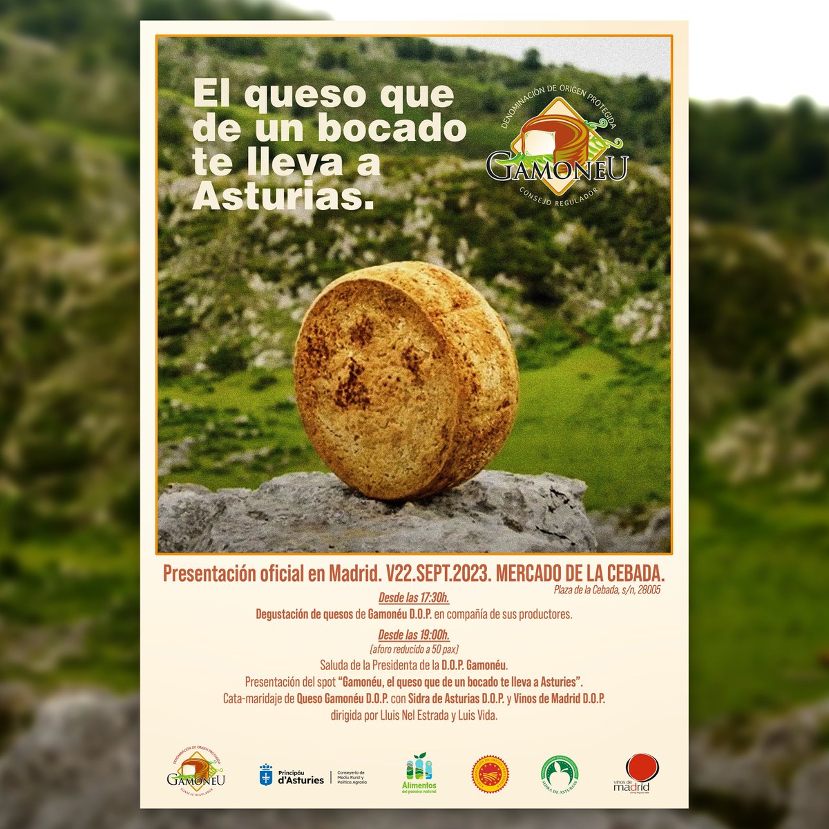 lluisnel's tweet photo. Yo ahí lo dejo, pero mañana estaremos en #madrid @MercadoCebada nuestro @DOPGamoneu. Degustaciones de cuatro productores y cata/maridaje con @SidraDasturias y @VinosdeMadridDO. Nos acompaña en la cata nada menos que #luisvida. Nos vemos allí? https://t.co/s8d1doWahe