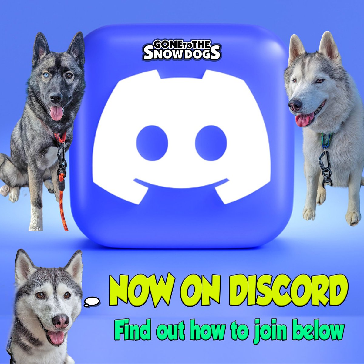 Snow Dogs Vlogs tweet media