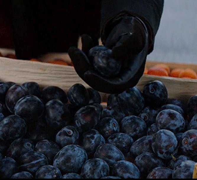 barnesmilf's tweet photo. the fact that bucky's metal arm had sensitivity enough to feel if a plum was ripe or not, meaning that he felt all the pain when his arm was blasted haunts me every night. https://t.co/Hxx2YHjrNo