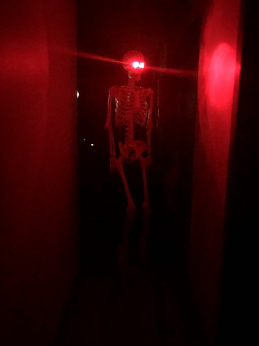 spooky szn is upon us

i would like to remind everyone that i used to own anywhere between 20-30 skeleton
