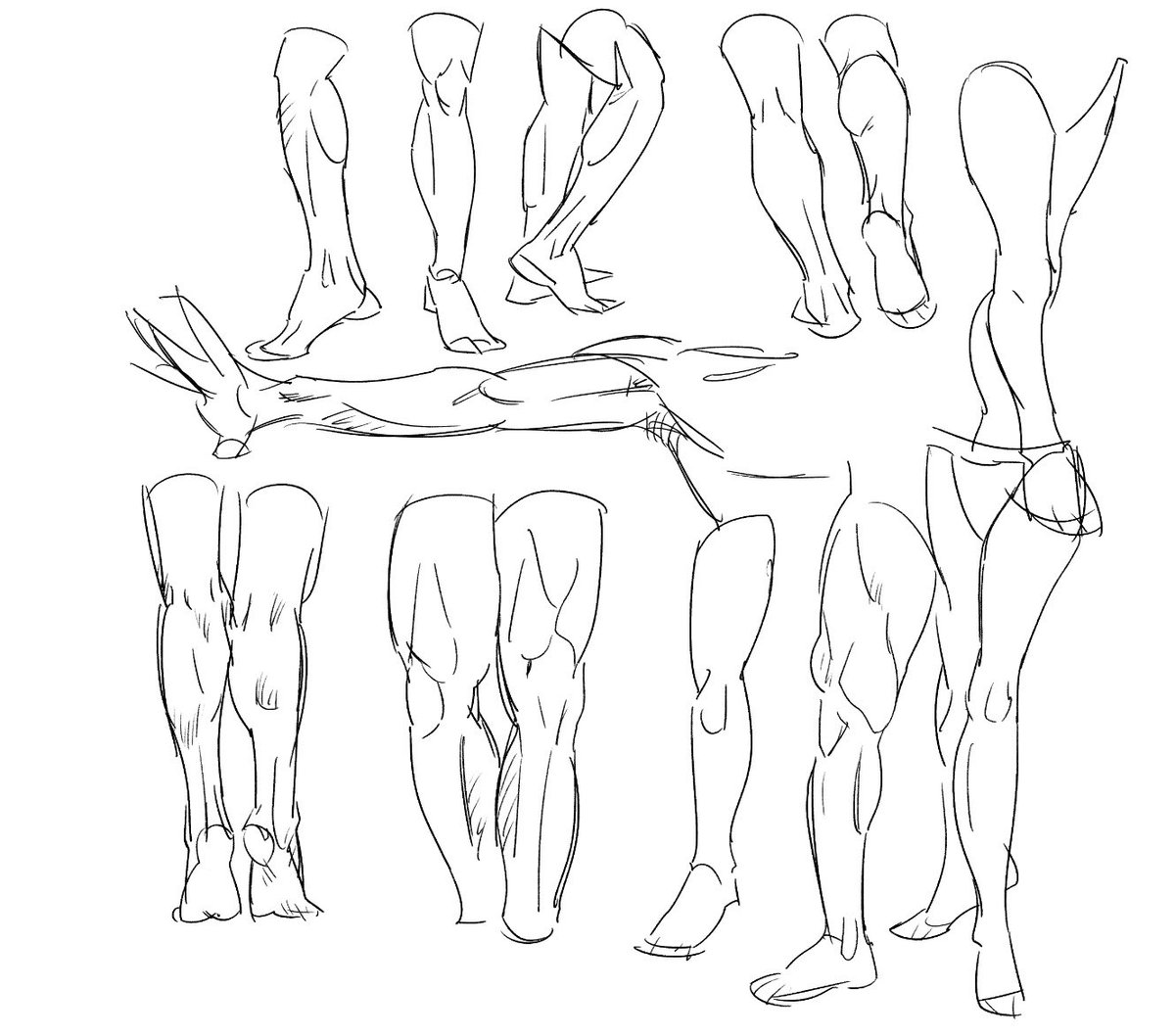 loose studies 