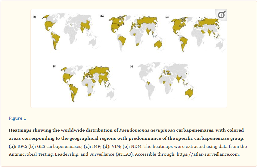 Las intrigantes carbapenemasas de Pseudomonas aeruginosa : estado actual, perfil genético y epidemiología global.

ncbi.nlm.nih.gov/pmc/articles/P…
