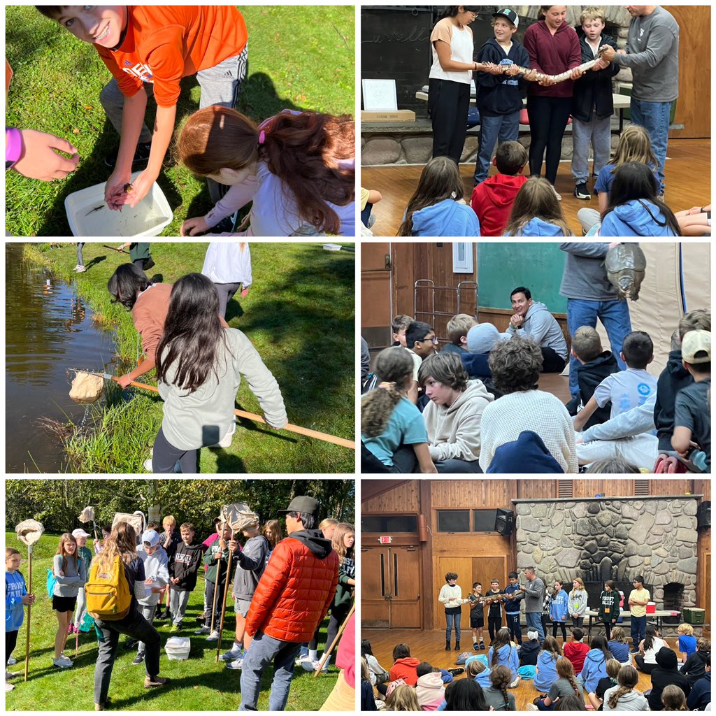 Danielle Florio tweet media