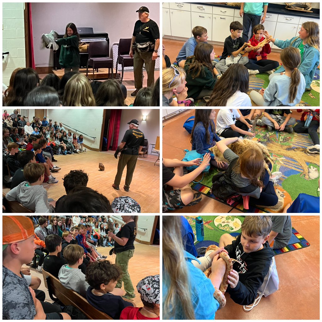 Danielle Florio tweet media