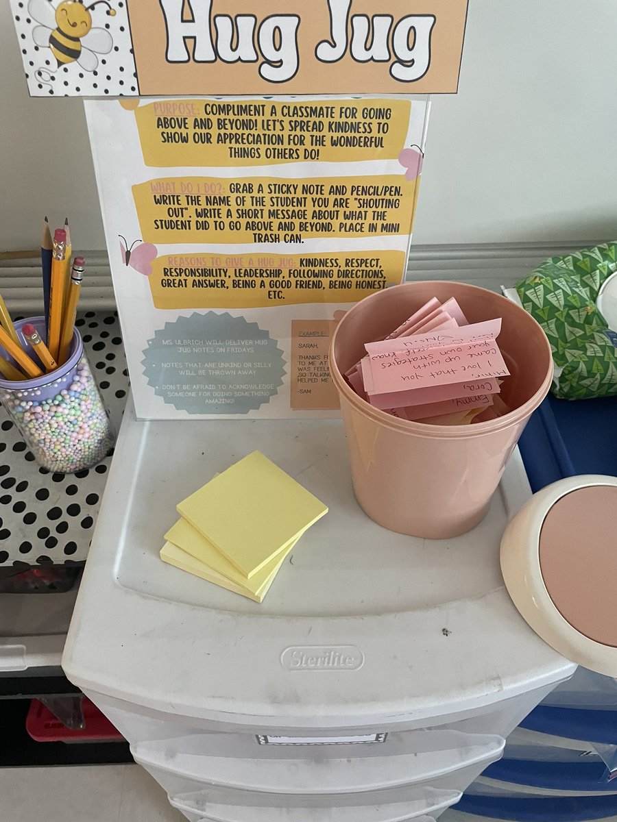 Ali Ulbrich tweet media