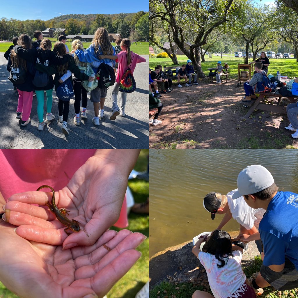 Evan Franchini tweet media