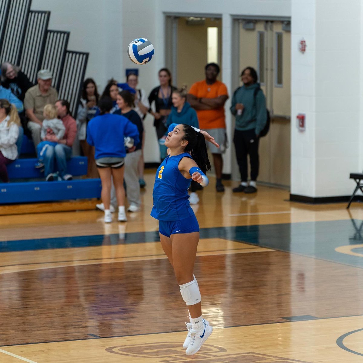 Ursuline Volleyball tweet media