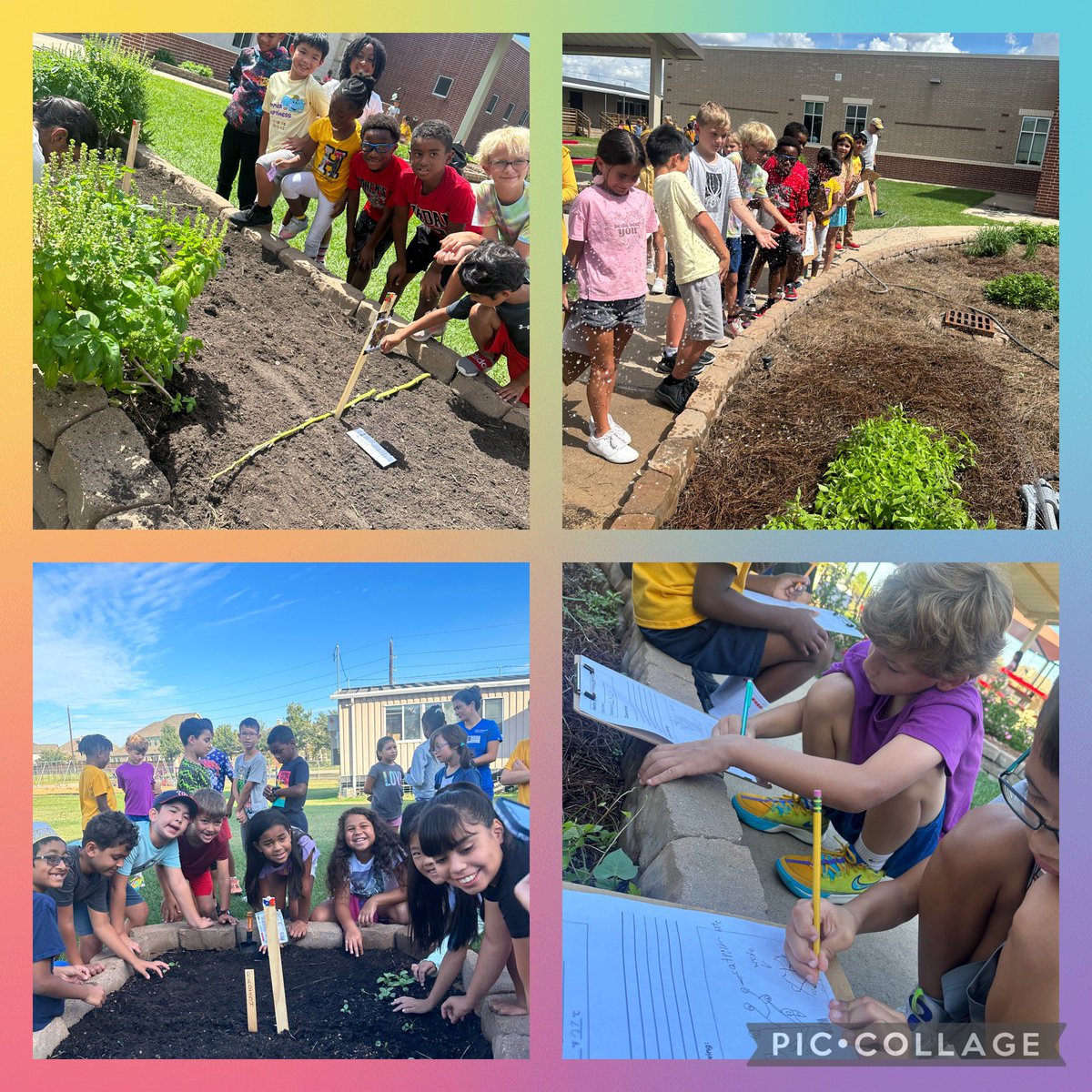 Rajvinder Mann tweet media