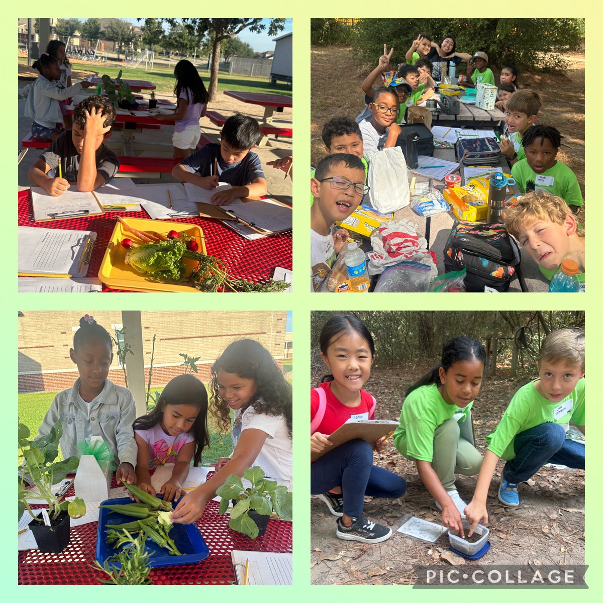 Rajvinder Mann tweet media