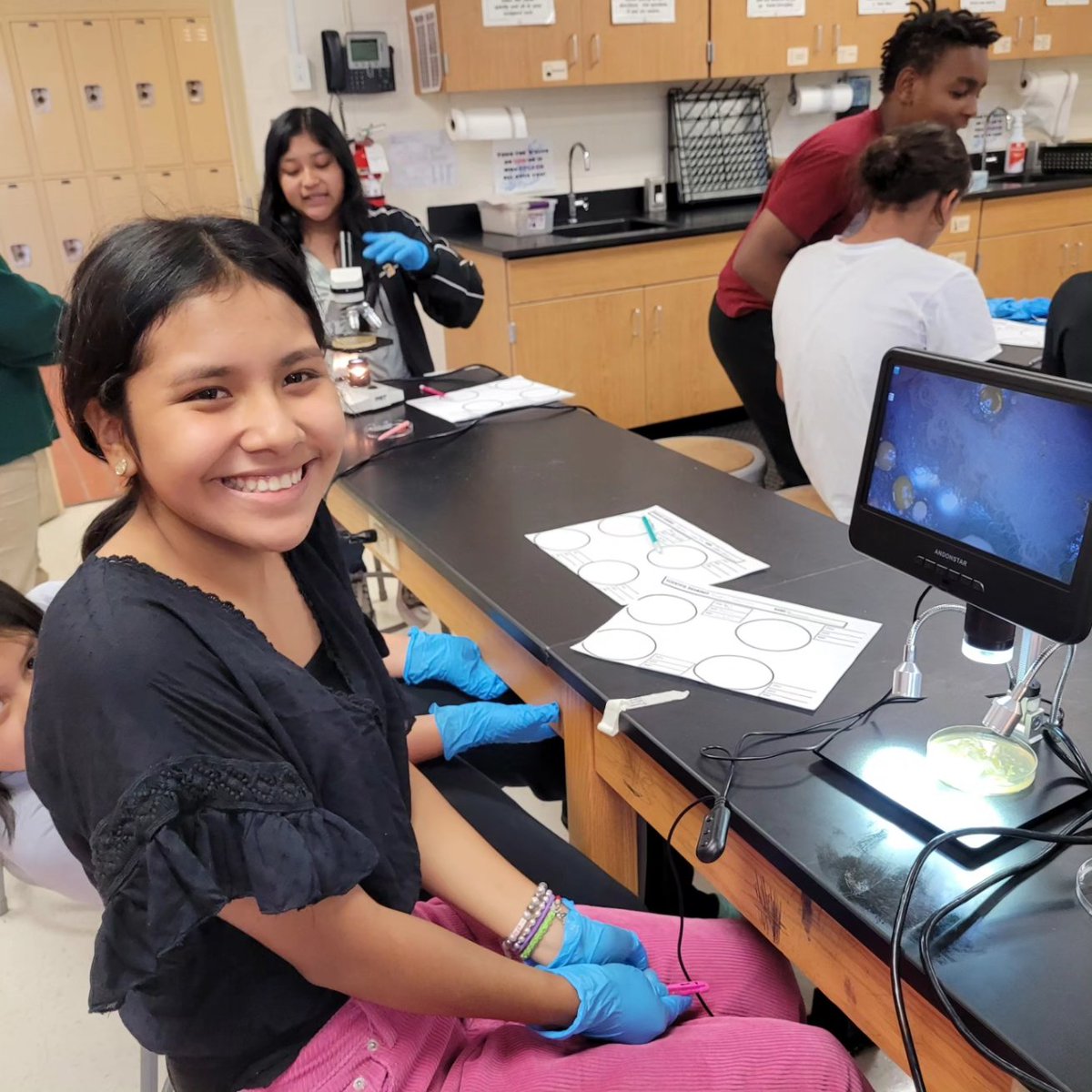 AMSkelkins's tweet photo. Fun day in Life Science observing bacteria from swabs taken from around the school!🧫🦠 https://t.co/2b9JzF1MNO