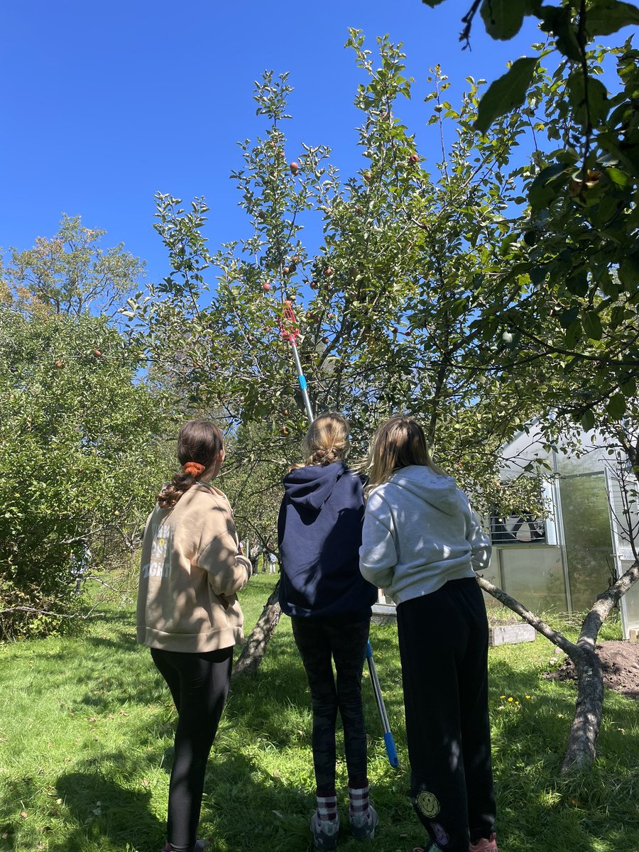 On our way home! We had so much fun making memories at <a href="/frostvalley/">Frost Valley YMCA</a>! <a href="/Team1Ems/">EMSTeam1</a> <a href="/WPSEisenhower/">Eisenhower Middle School</a>