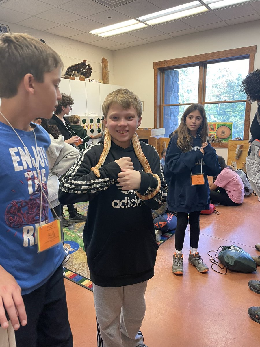 Liza Fonti tweet media