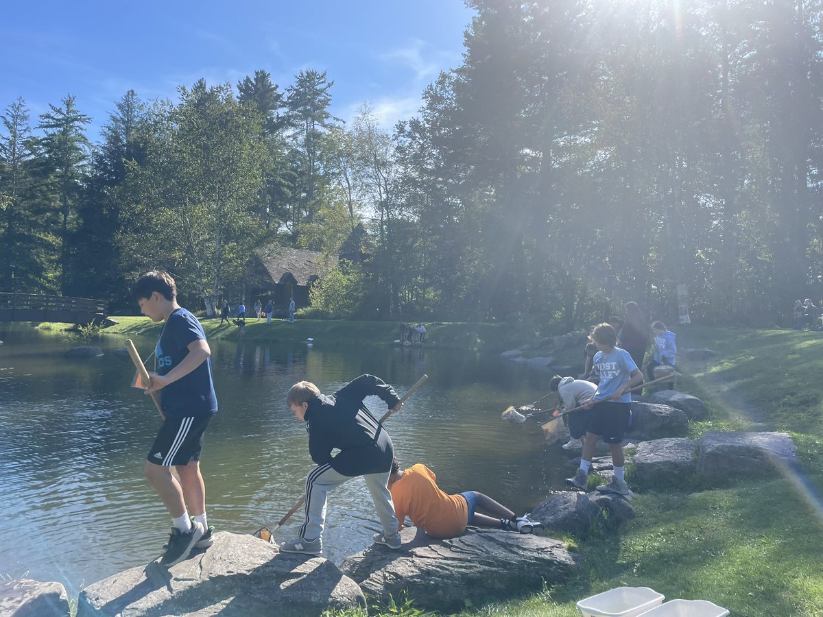 Liza Fonti tweet media