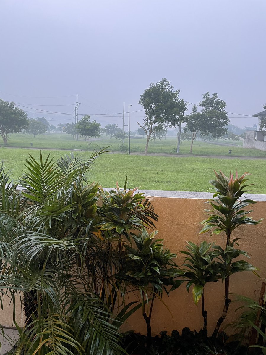 Sacho Lacson tweet media