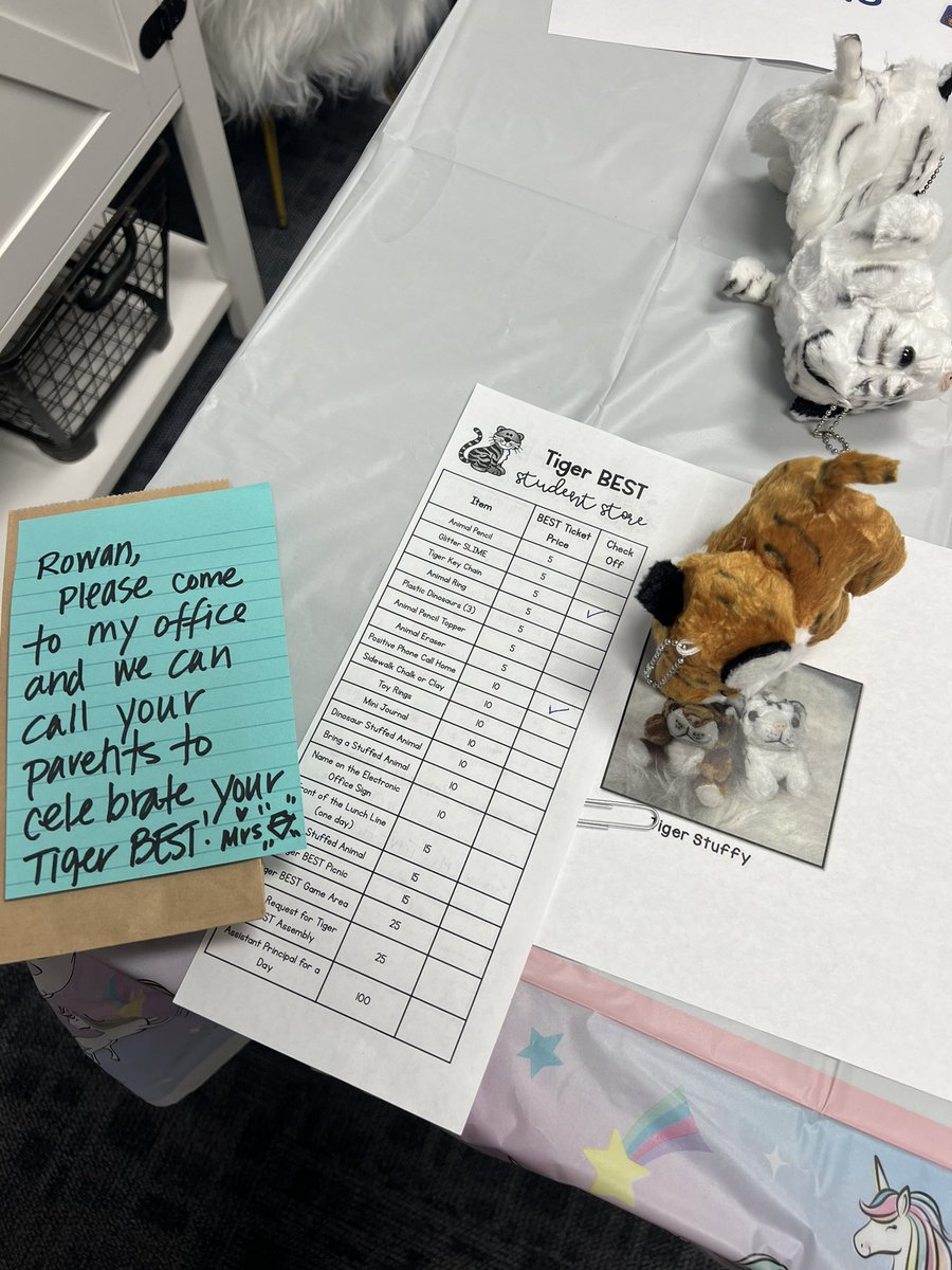 First EVER PBIS student store at Brookside!  #tigerbest #opshares