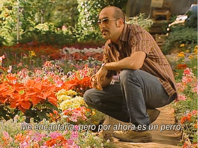 Día de la Primavera