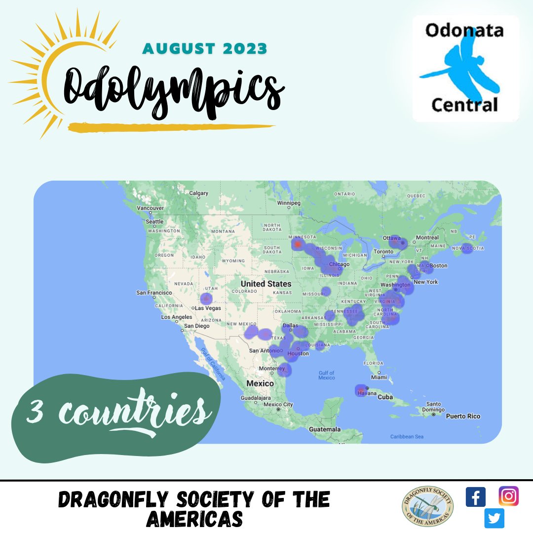 OdonataAmericas's tweet photo. These weeks we have been working on the results of the #Odolympics. Here, we bring you the first results obtained from Odonata Central. You are amazing! We passed 2000 registrations and 3 countries participated: Canada, Cuba, and USA.
Thanks a lot for your participation! https://t.co/nUHr3NslS0